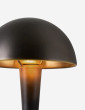 Cep - Medium