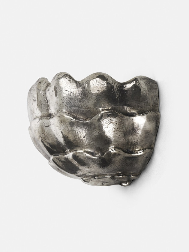 Brassica