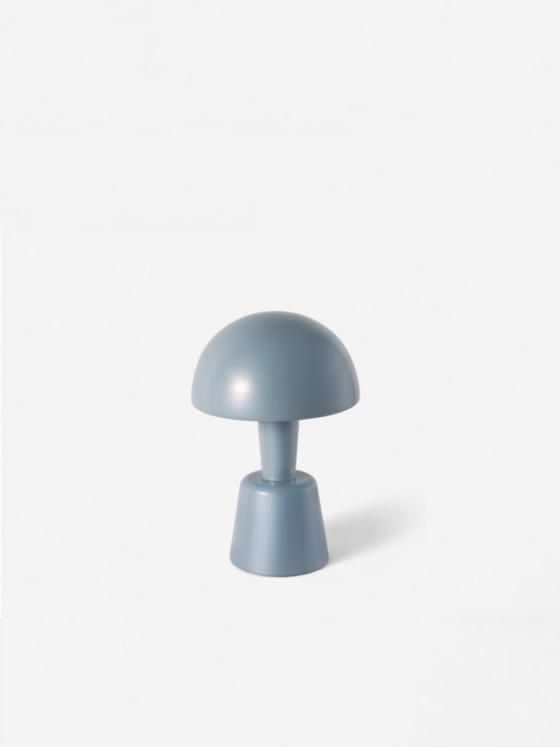 Mini Painted Cep