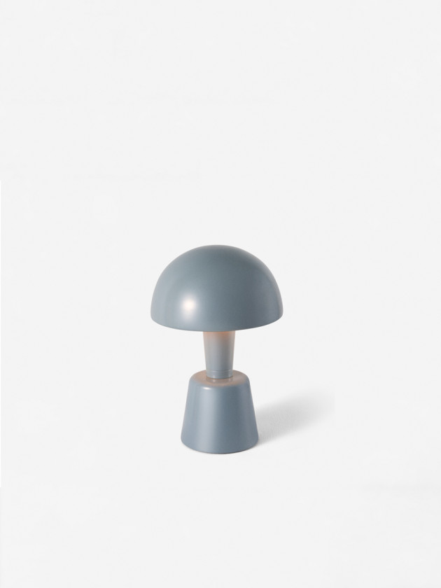 Mini Painted Cep