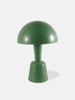 Painted Cep