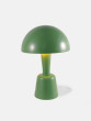 Painted Cep