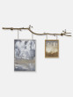 Branch Picture Rail