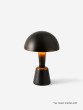 Cep - Medium