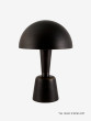 Cep - Large