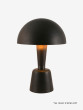 Cep - Large