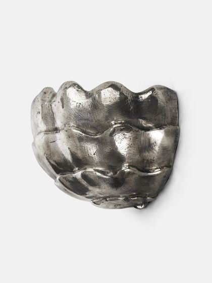 Brassica