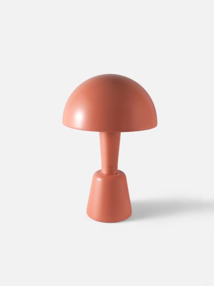 Painted Cep