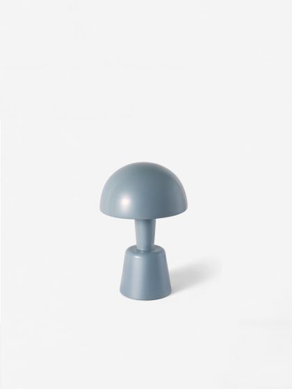 Mini Painted Cep