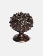 Horned Urchin