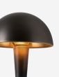 Cep - Medium