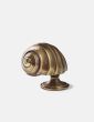 Moon Snail Cupboard Knob