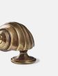 Moon Snail Cupboard Knob