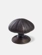 Urchin Door Pull