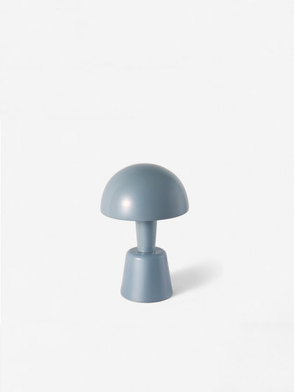 Mini Painted Cep