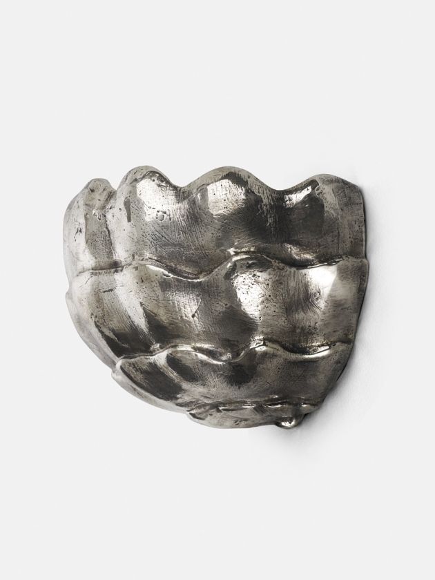 Brassica