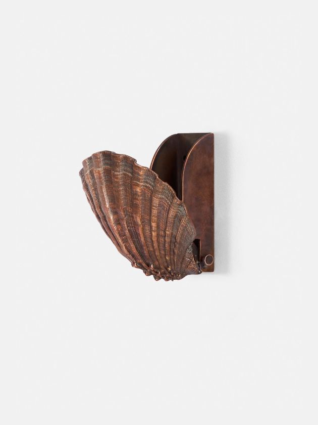 Scallop Accent