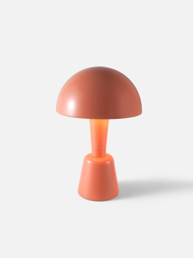Painted Cep
