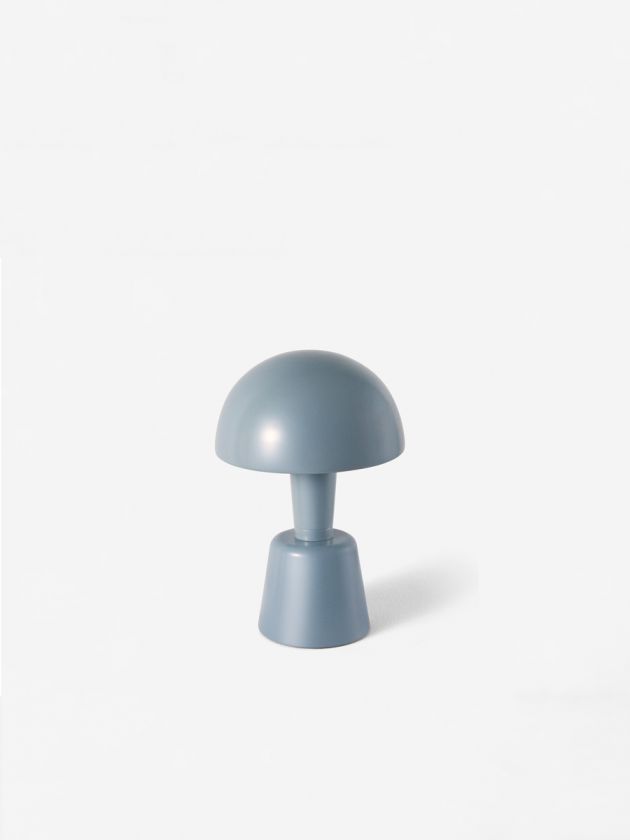 Mini Painted Cep
