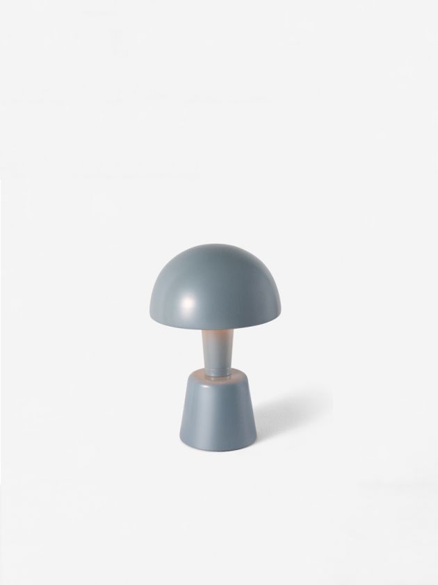 Mini Painted Cep
