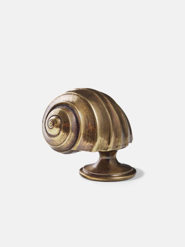 Moon Snail Cupboard Knob