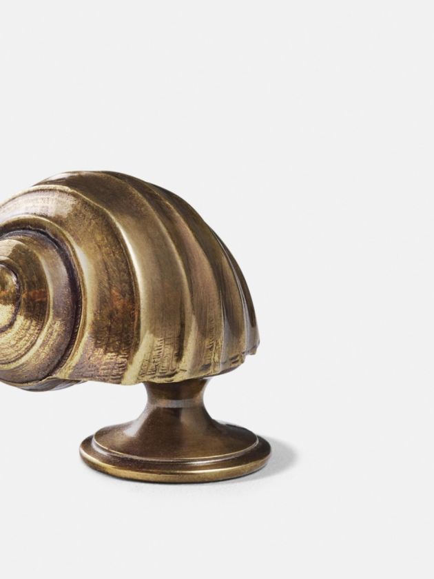 Moon Snail Cupboard Knob