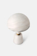 Alabaster Cep