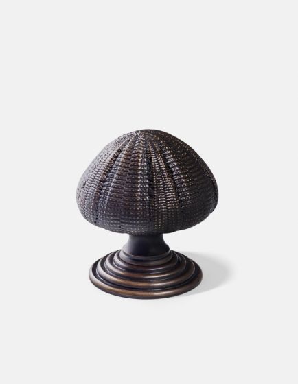 Urchin Door Knob
