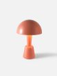 Painted Cep
