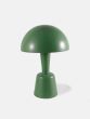 Painted Cep