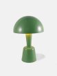 Painted Cep