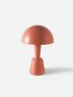 Painted Cep