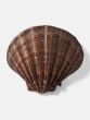 Scallop Accent