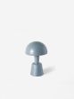 Mini Painted Cep
