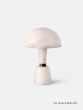 Alabaster Cep - Medium