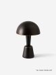 Cep - Medium