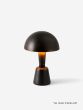 Cep - Medium