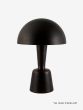 Cep - Large