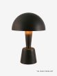 Cep - Large
