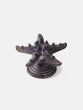 Starfish Door Knob