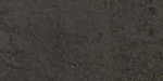 Antique Bronze