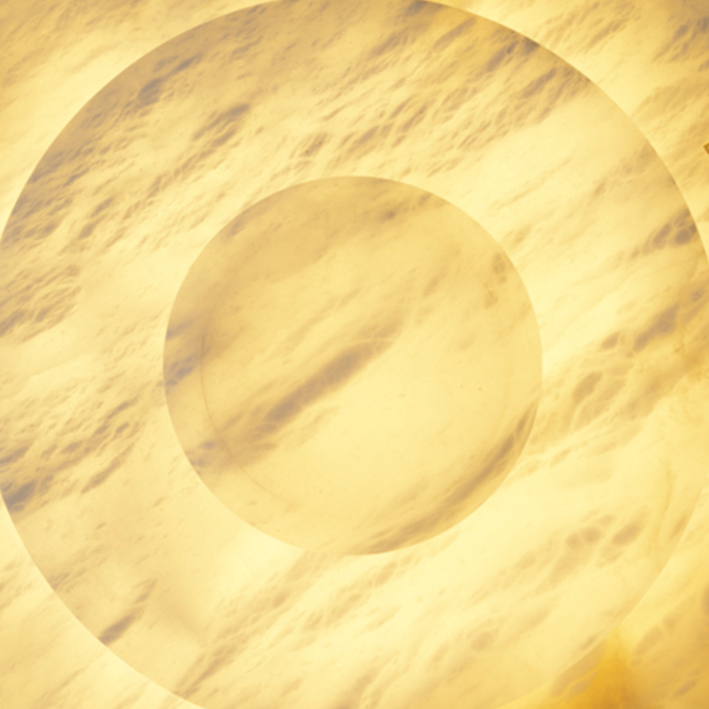 Alabaster_1.25x-1