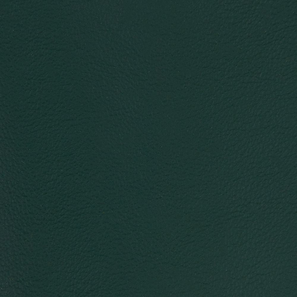 Leather_-_Ivy_1.25x