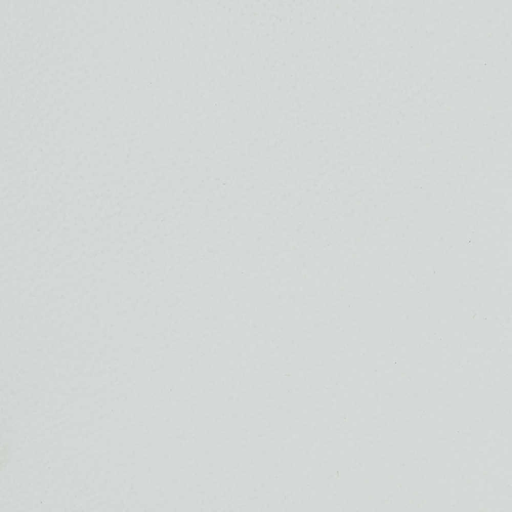Leather_-_White_1.25x