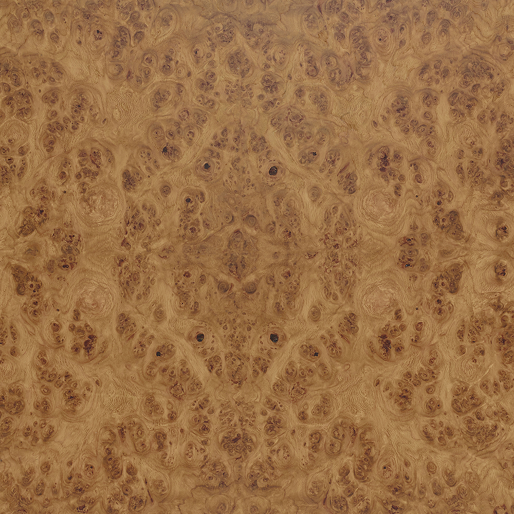 Wood_Premium_-_Burr_Oak_1.25x