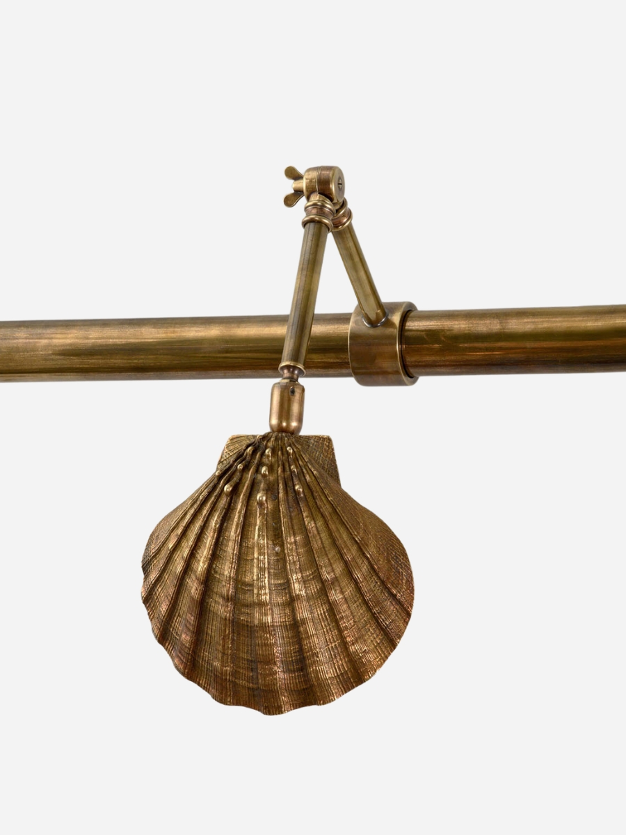 Scallop_On_Rail
